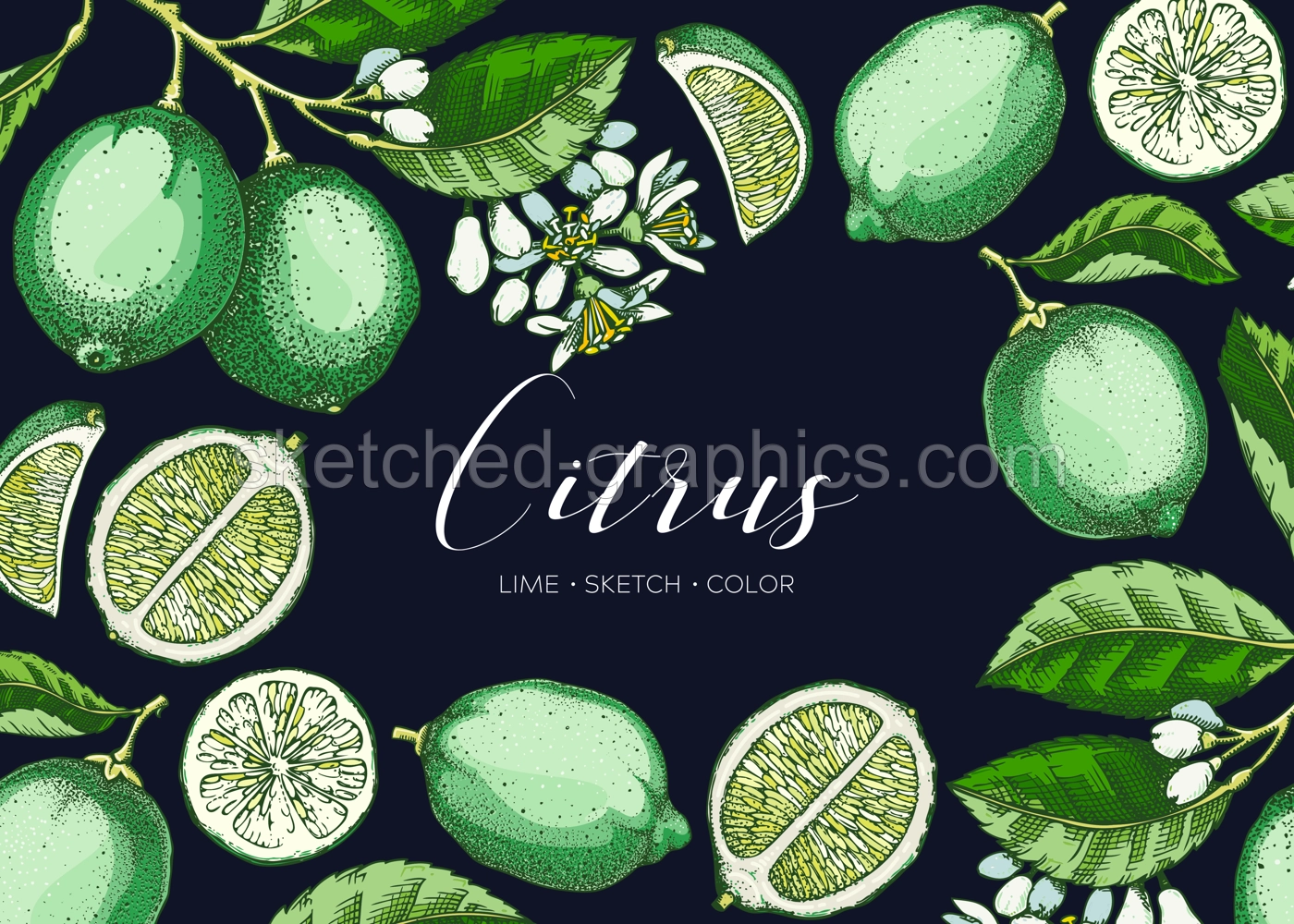 Lime fruit frame. Exotic plants design template. Citrus fruit sketches in color. Summer background. Hand drawn vector illustration. NOT AI generated Illustration